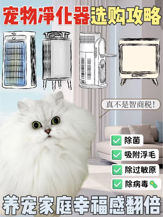 宠物净化器选购攻略｜养猫幸福感翻倍🍃