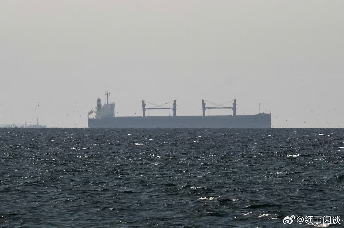 【特朗普称“许多国家”将派遣军舰确保霍尔木兹海峡畅通】[那不得乱成一锅粥？简单的