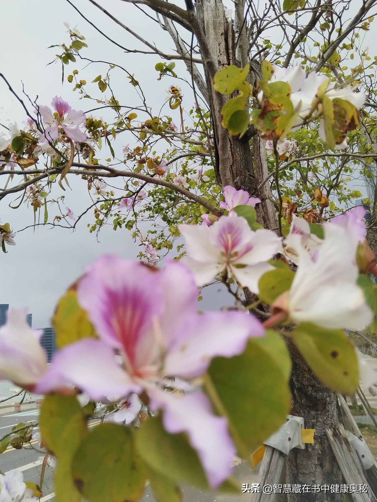 在这个纷繁复杂、节奏飞快的时代，人们总是在追求功名利禄的道路上一路狂奔，却常常忽