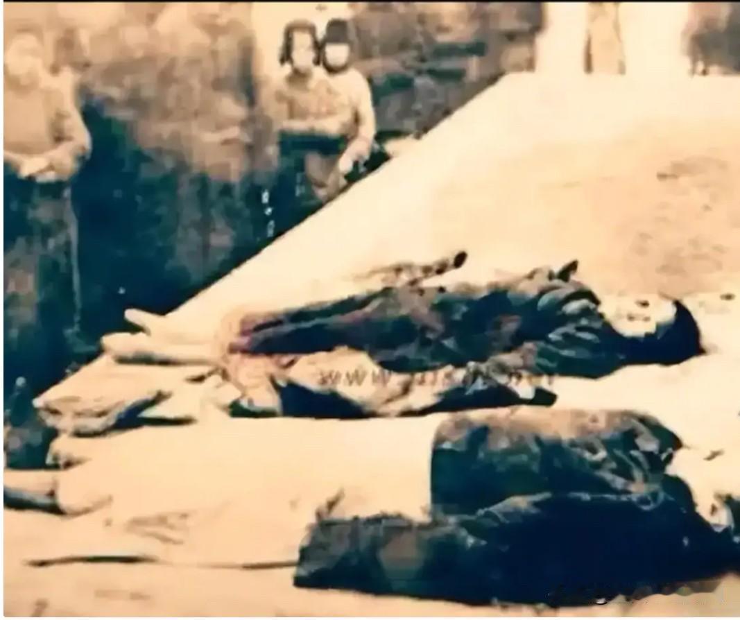 1925年，郭松龄兵败与妻子韩淑秀同时被俘，张作霖下令就地处决郭松龄夫妇。张作霖