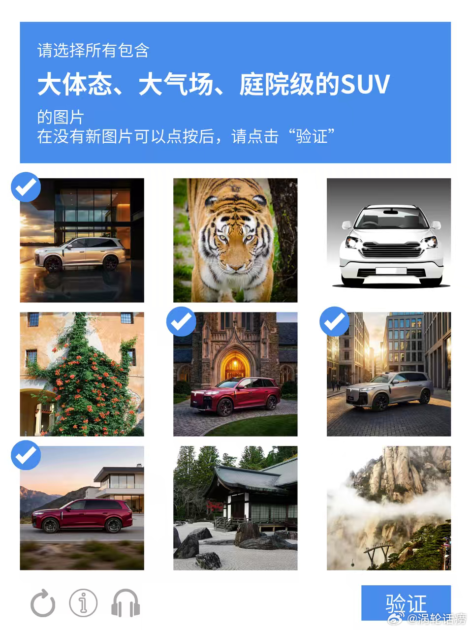 请在8秒内完成验证！请迅速选出所有大体态、大气场、庭院级的SUV，没错，就是所有