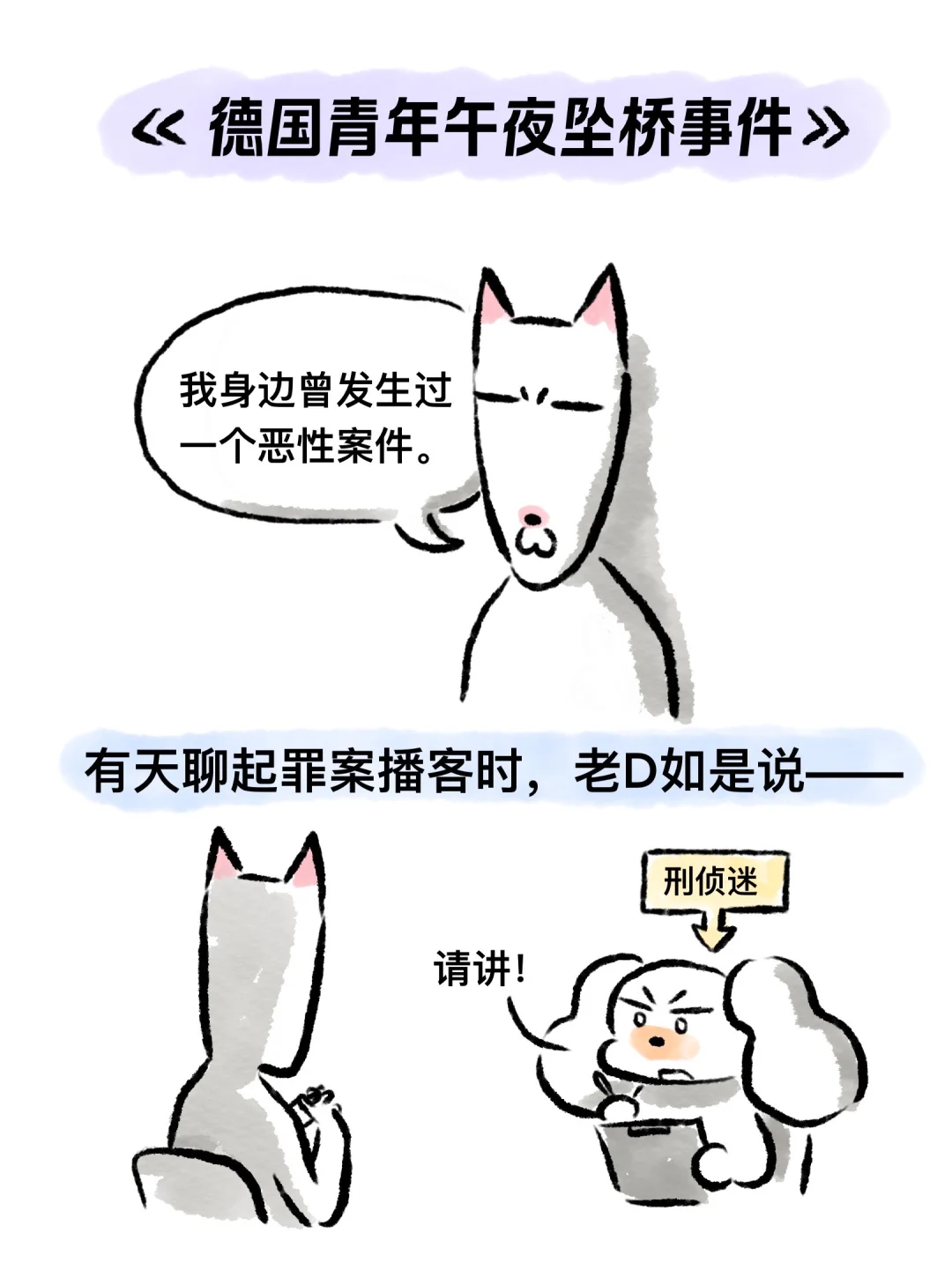 德国青年午夜坠桥事件（上）