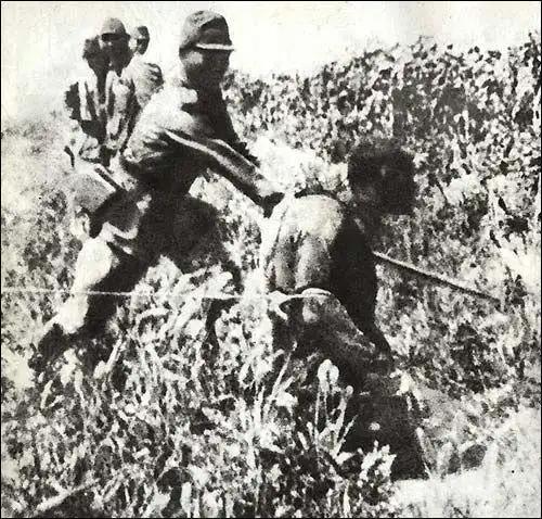 在日本士兵正根义夫的回忆录中写道，每当遇到一具刚刚死掉的尸体，就会有人去试试脑浆