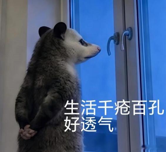 黄冠亨负鼠时候黄冠亨负鼠时候 窗边背手眺望完美复刻网红负鼠，刚开个人工作室就整活