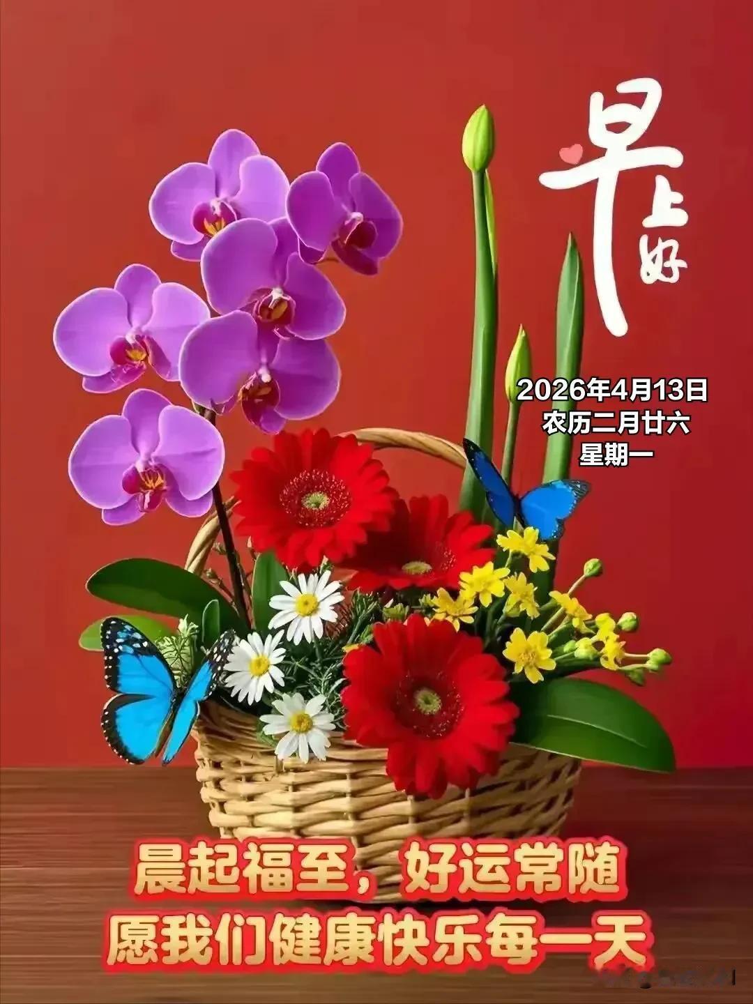 春日清晨，阳光正好，微风不燥，带着希望开启新的一天。