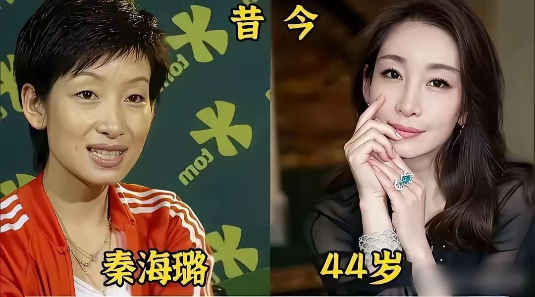 刘涛，陈数，秦海璐三位实力派女演员，越老越有气质，你喜欢哪一位呢？