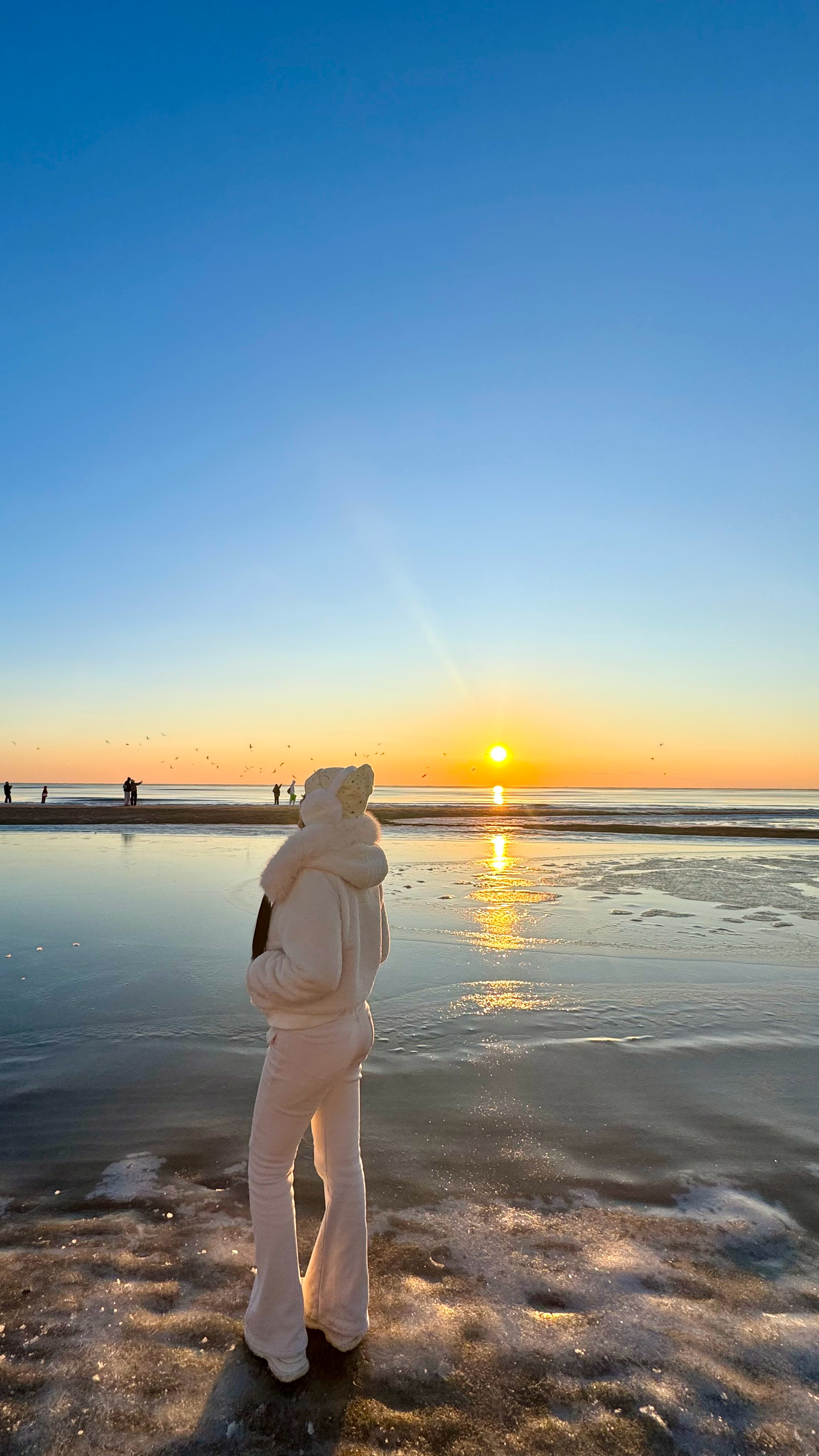 阿那亚相册碎片🧩 生活手记 2.0  