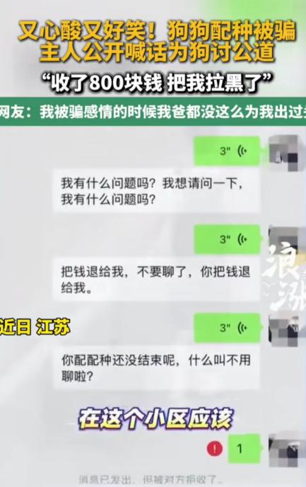 “笑不活了！”江苏，一男子花800元，给自家狗狗配种，万万没想到，对方收了他的钱
