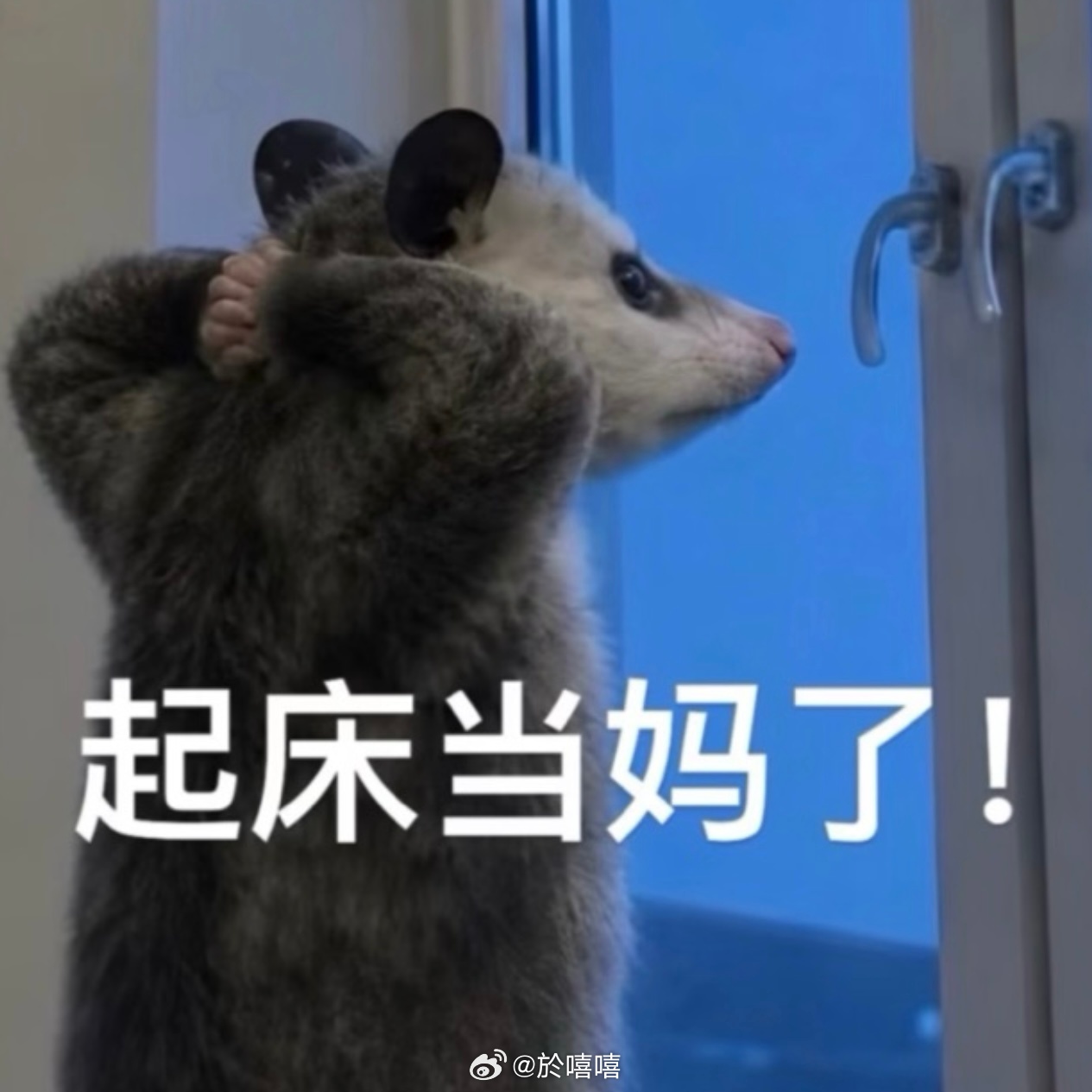明天有人想来我的工位cosplay我吗 