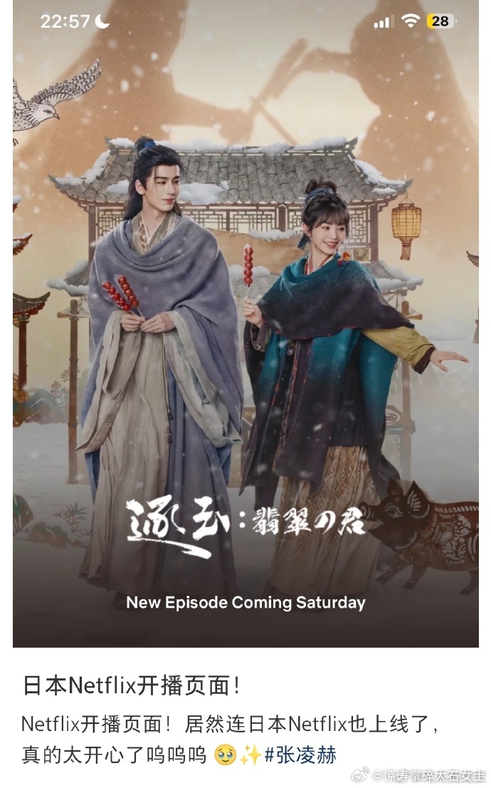 逐玉在日本播出的剧名逐玉在日本上线的剧名 日本Netflix开播页面曝光！《逐玉