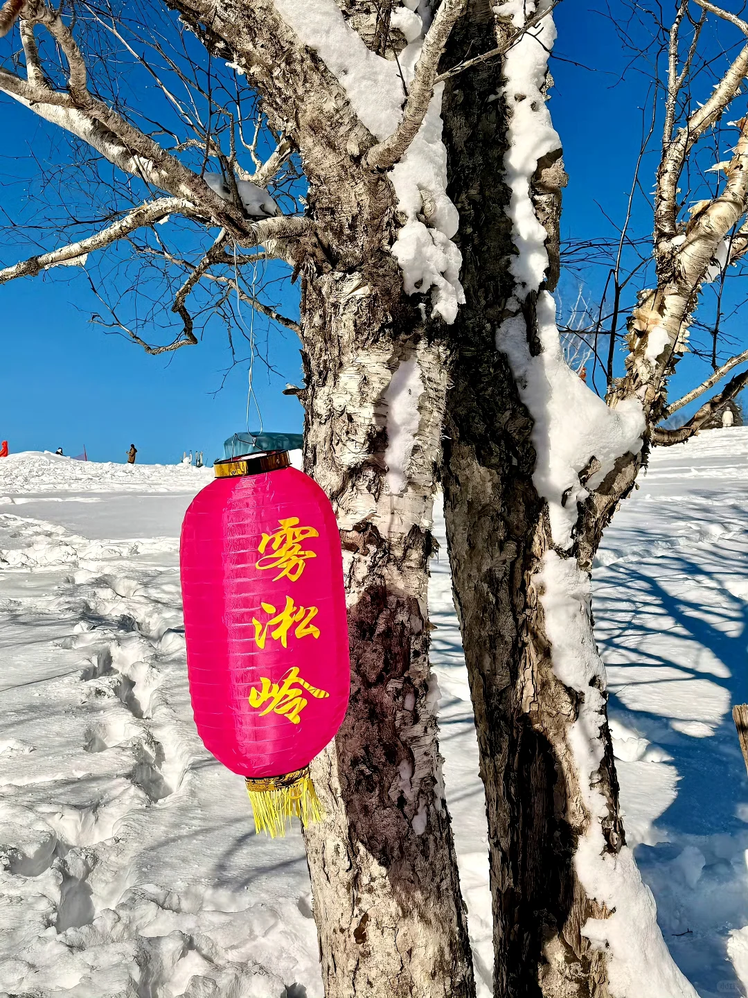 坦白局丨雪谷避坑指南，全网坠暖民宿揭㊙！