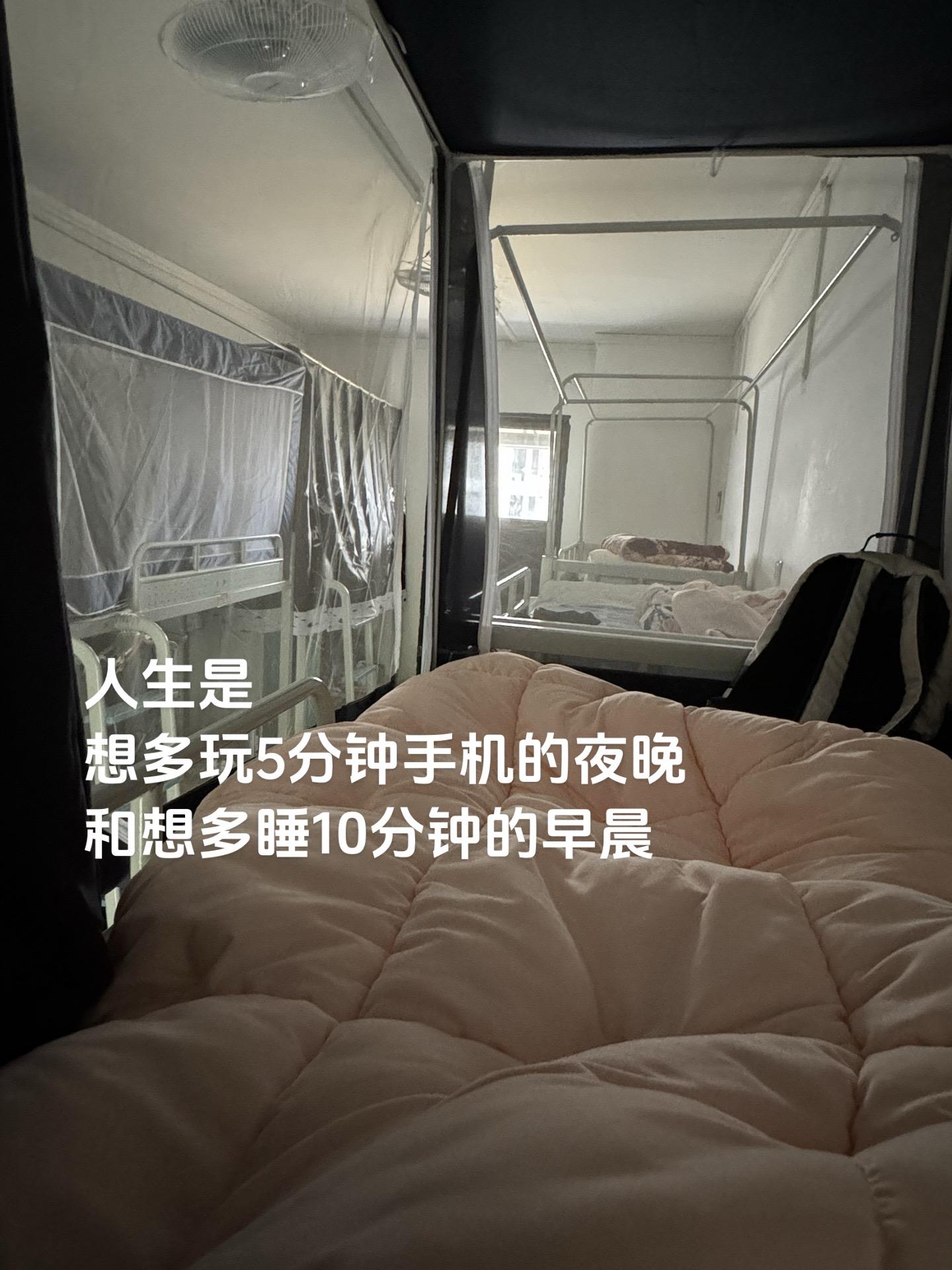 晚上舍不得睡 白天舍不得起