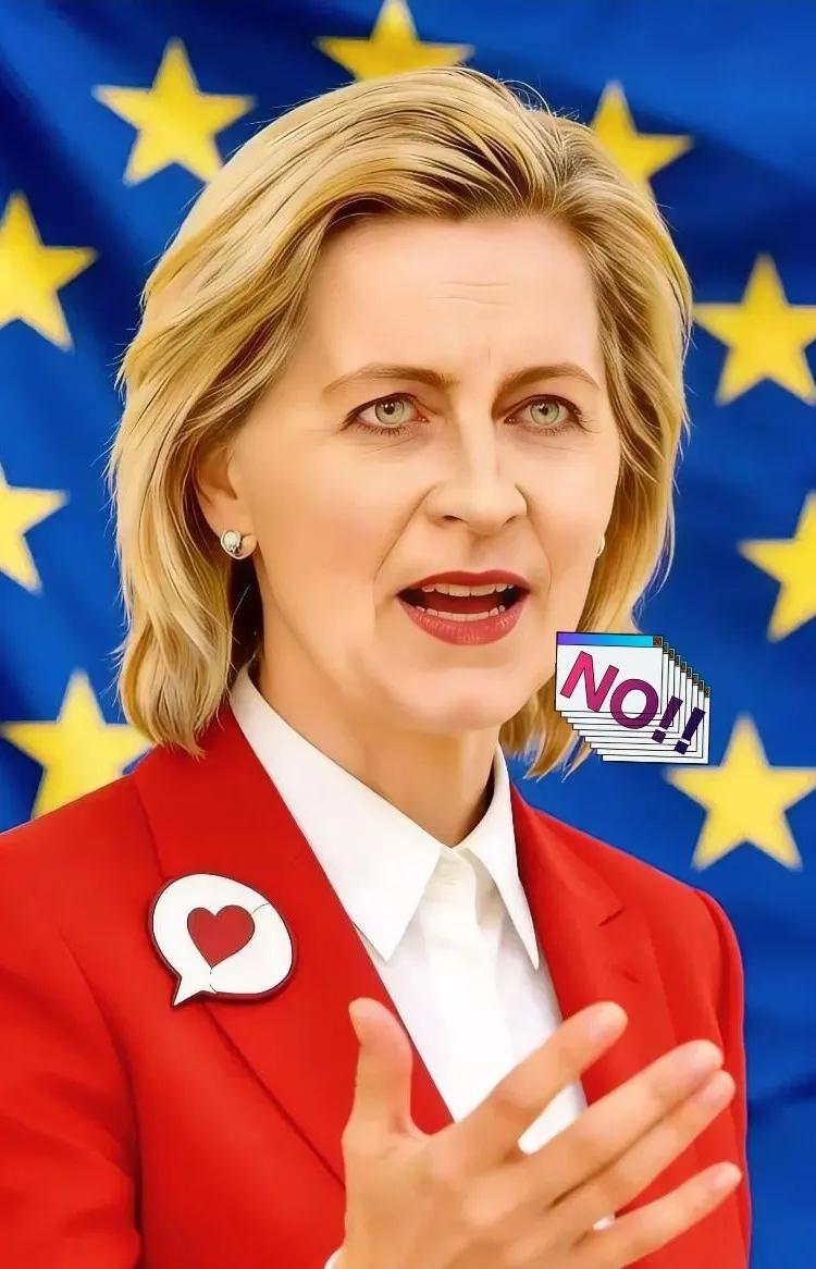 据央视新闻报道！
12月28日凌晨，欧洲领导人进行了一场紧急通话，赶在美国总统特