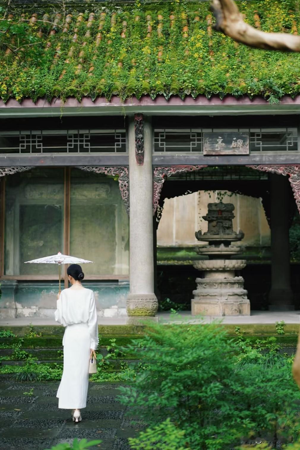 向太说“香港有一个富豪，就是娶一个生一个，然后觉得没趣了，就离婚再娶一个，漂亮的