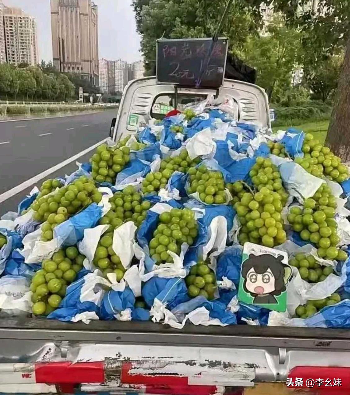 为什么曾经被捧上神坛的阳光玫瑰现在价格这么低？