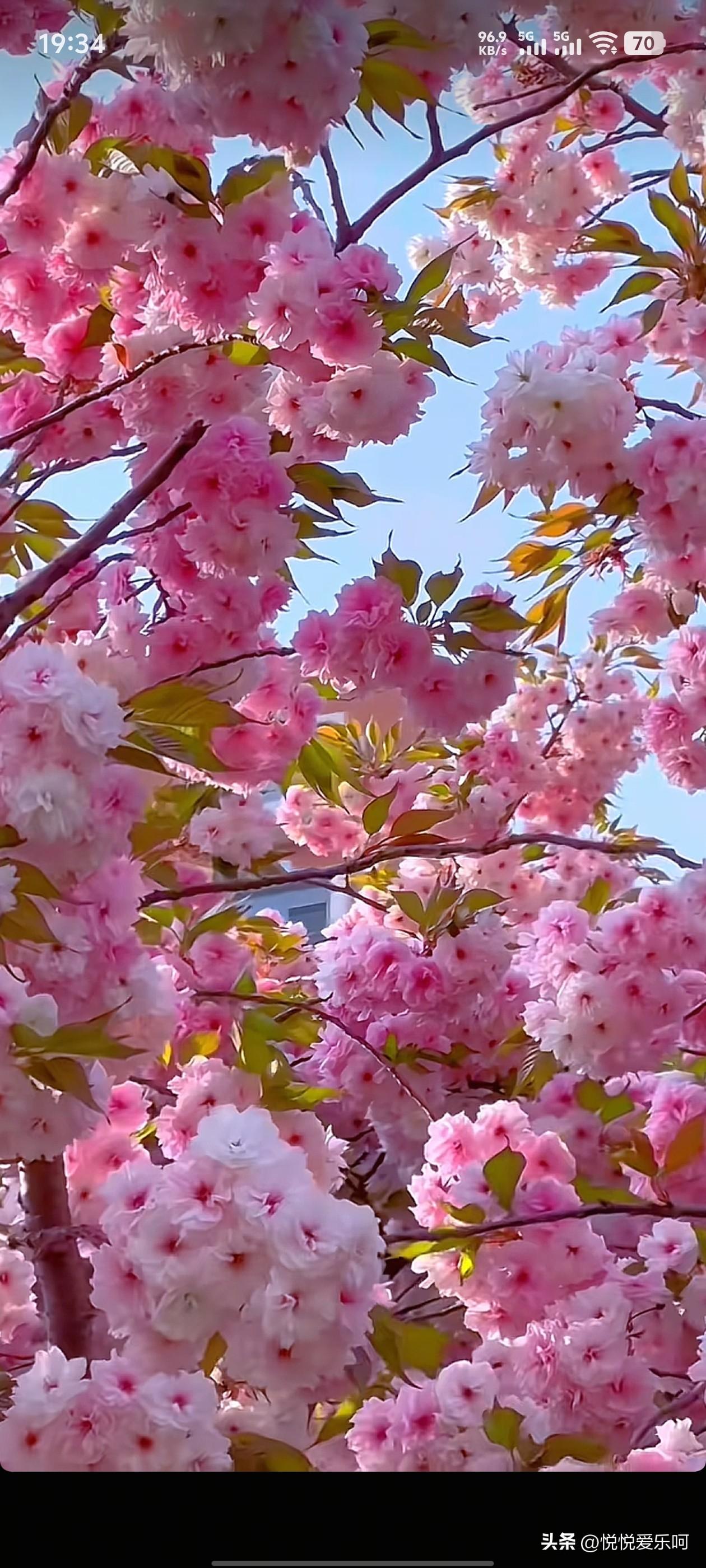 被一段话破防了:

世界上最好的人，就是执行力超强的你自己。

所谓的执行力就是