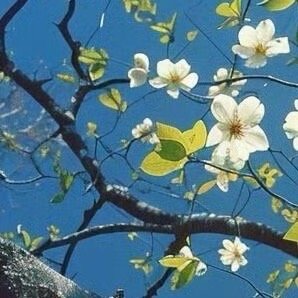 阳光信用  🍎阳光信用 🍎每日一善 要有一颗善良的心、宽广的心、美好的心，感