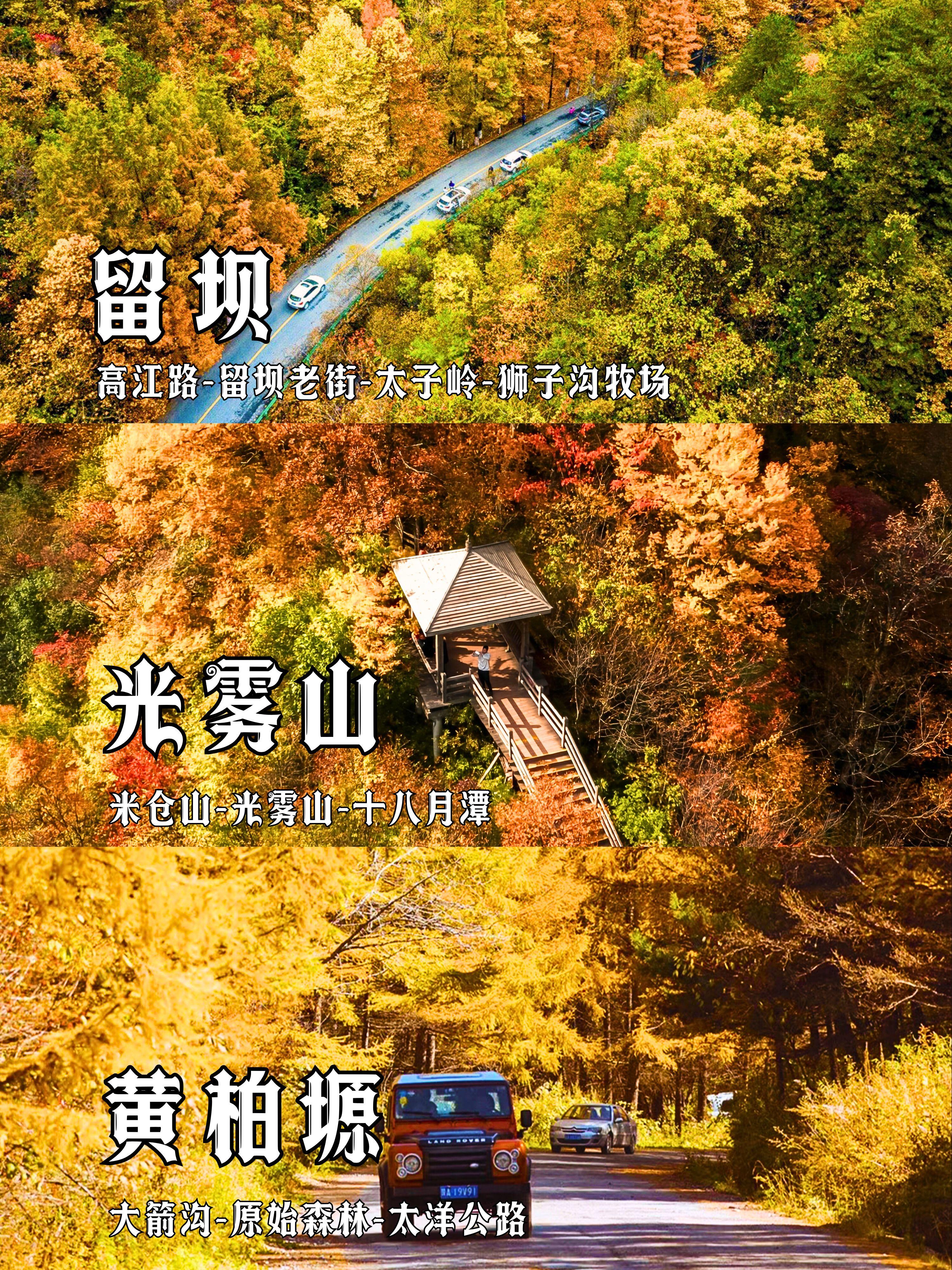 10月赏秋必去3条路线，不允许有人不知道。🍁10月中旬，秦岭逐步迈入...