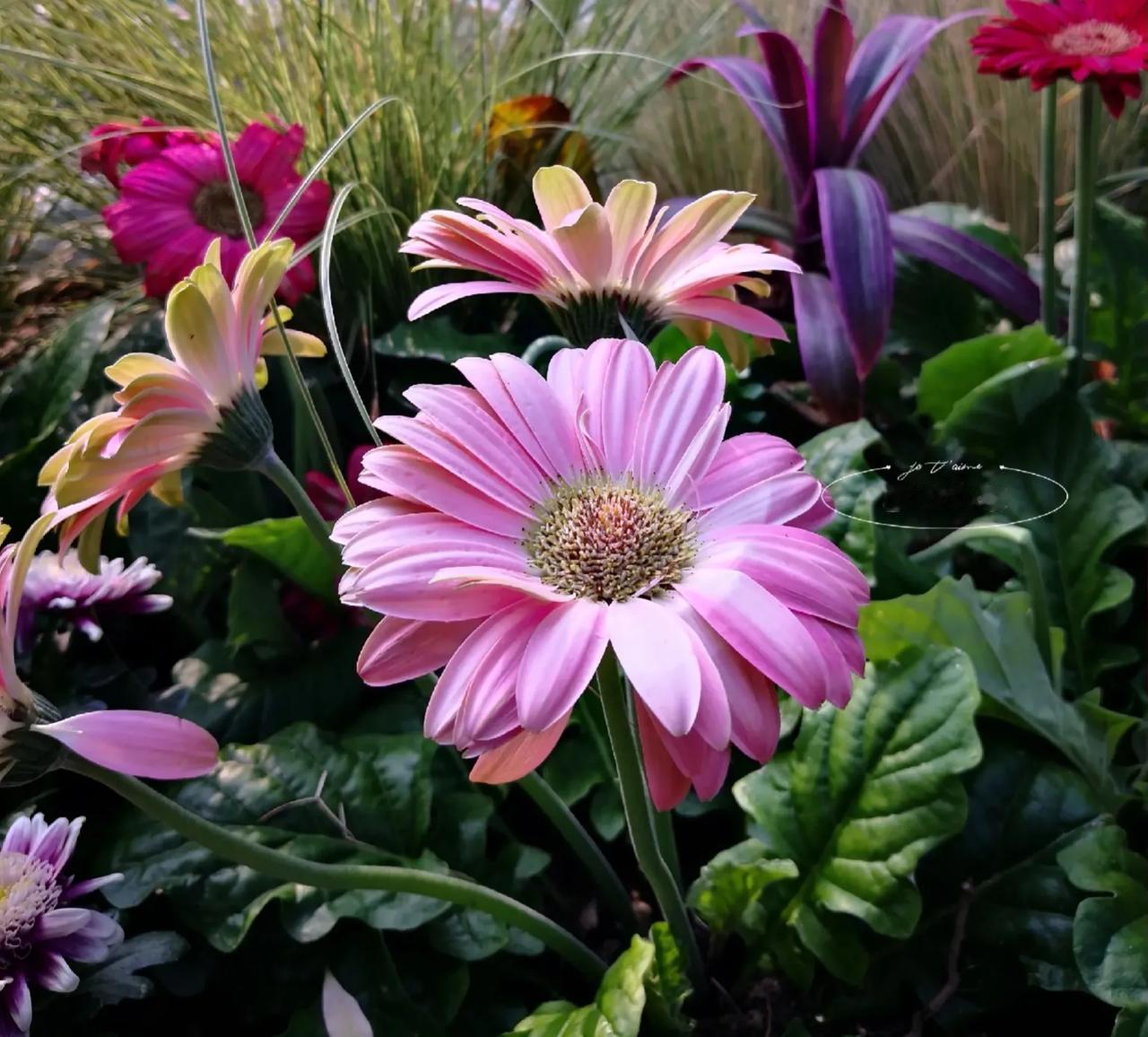 此上联勾勒出夏日清风悠悠吹拂之景况。芒种昭示着农作物迈入繁忙的种植与生长之阶段，