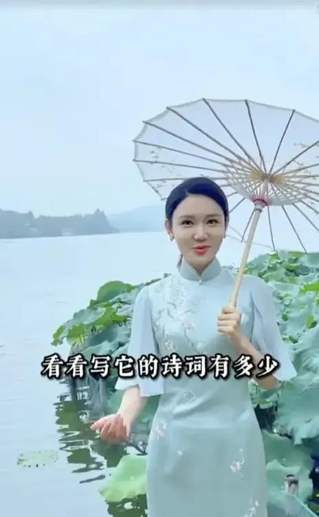 她现在终于火了吧！

虽然她现在是央视力捧的主持人，主持水平也高于同期的其他节目