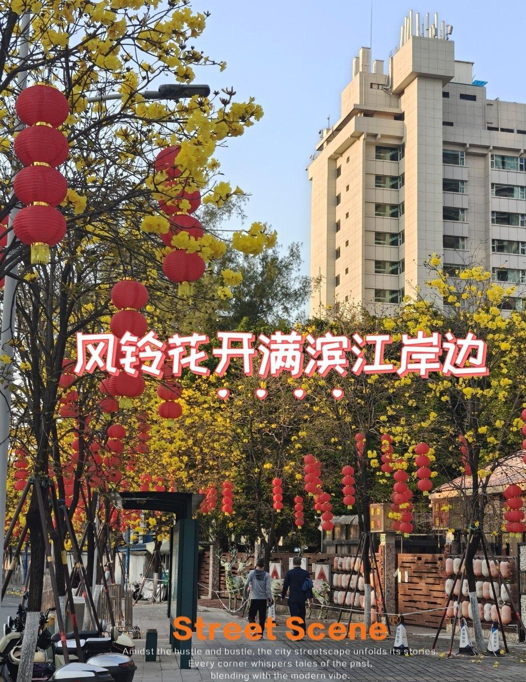 春节暖冬，广州又一打卡机位[惊叹]
📍广州 
提前就开满滨江路岸边，加上春节红