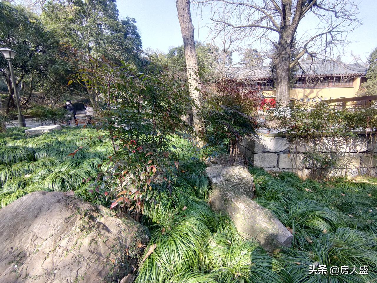 现在大家确实都喜欢有情绪价值的东西。《2025 Z世代情绪消费报告》显示，超九成