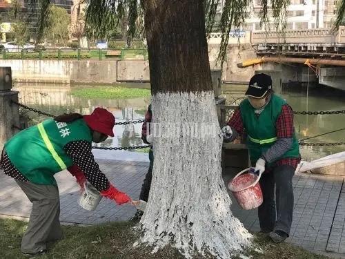 惊！南宁人民公园的植物竟过上“精致冬生活”！

家人们！降温后的南宁人民公园，藏