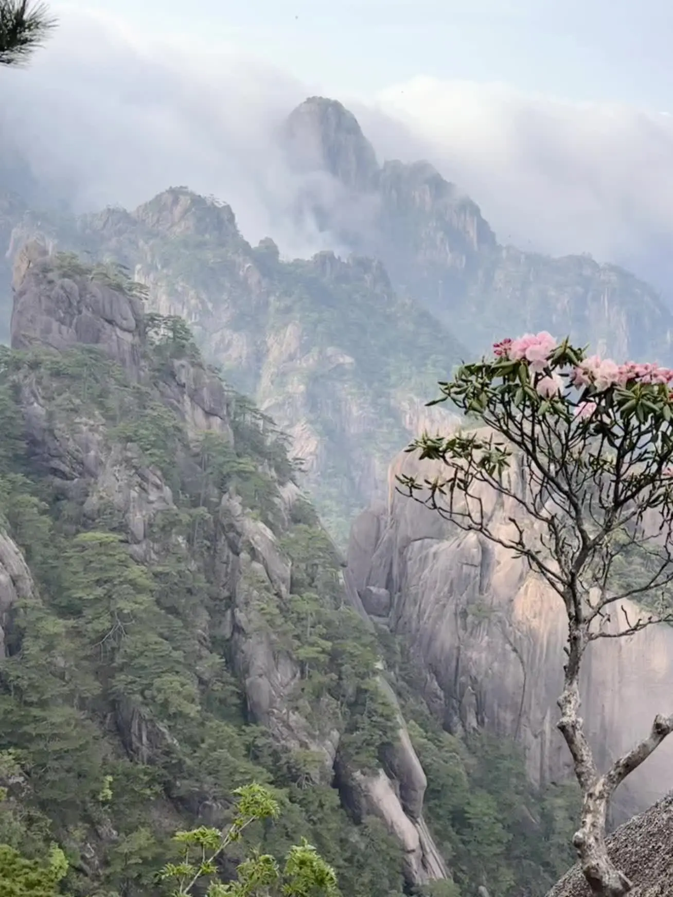 这个黄山风景属实不得了