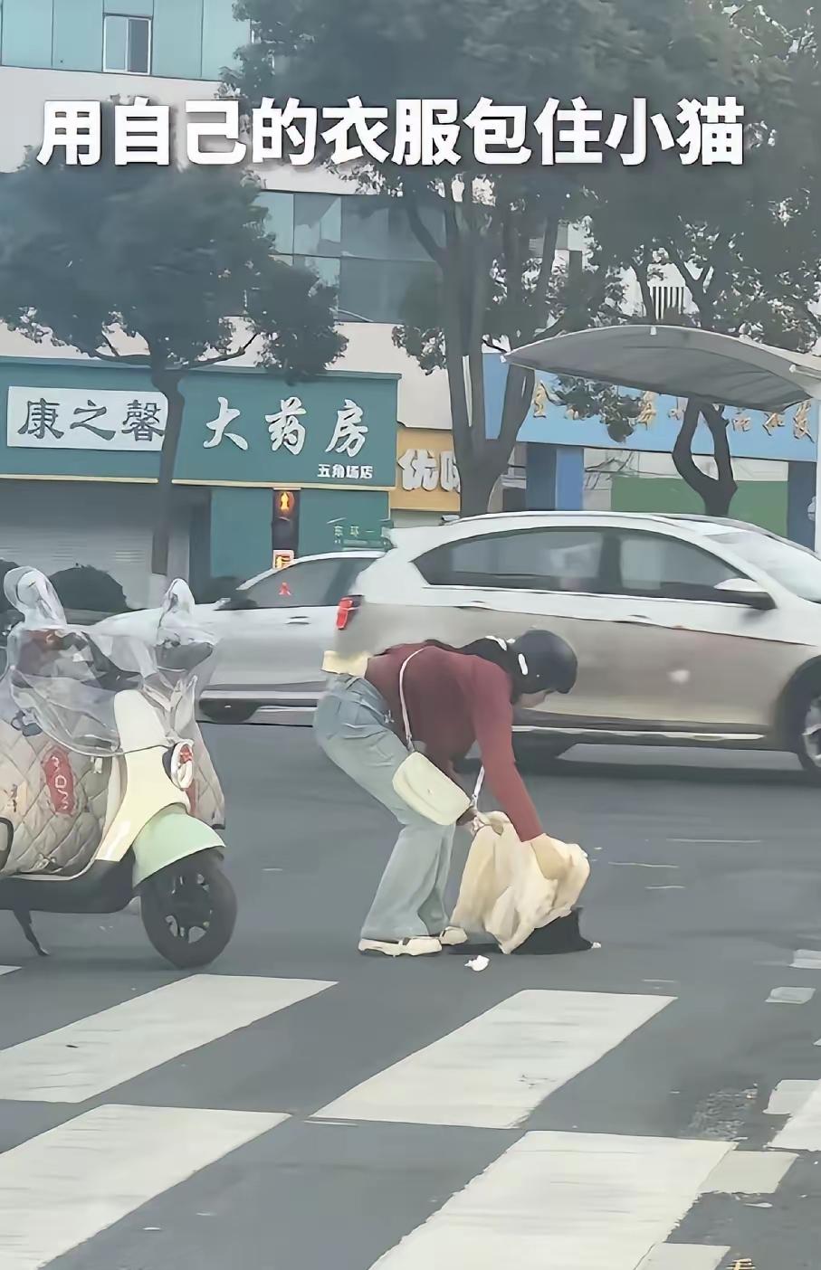姑娘你上人民日报了！ 近日，江苏常州，一只流浪猫一瘸一拐在红绿灯路口爬行，眼看小