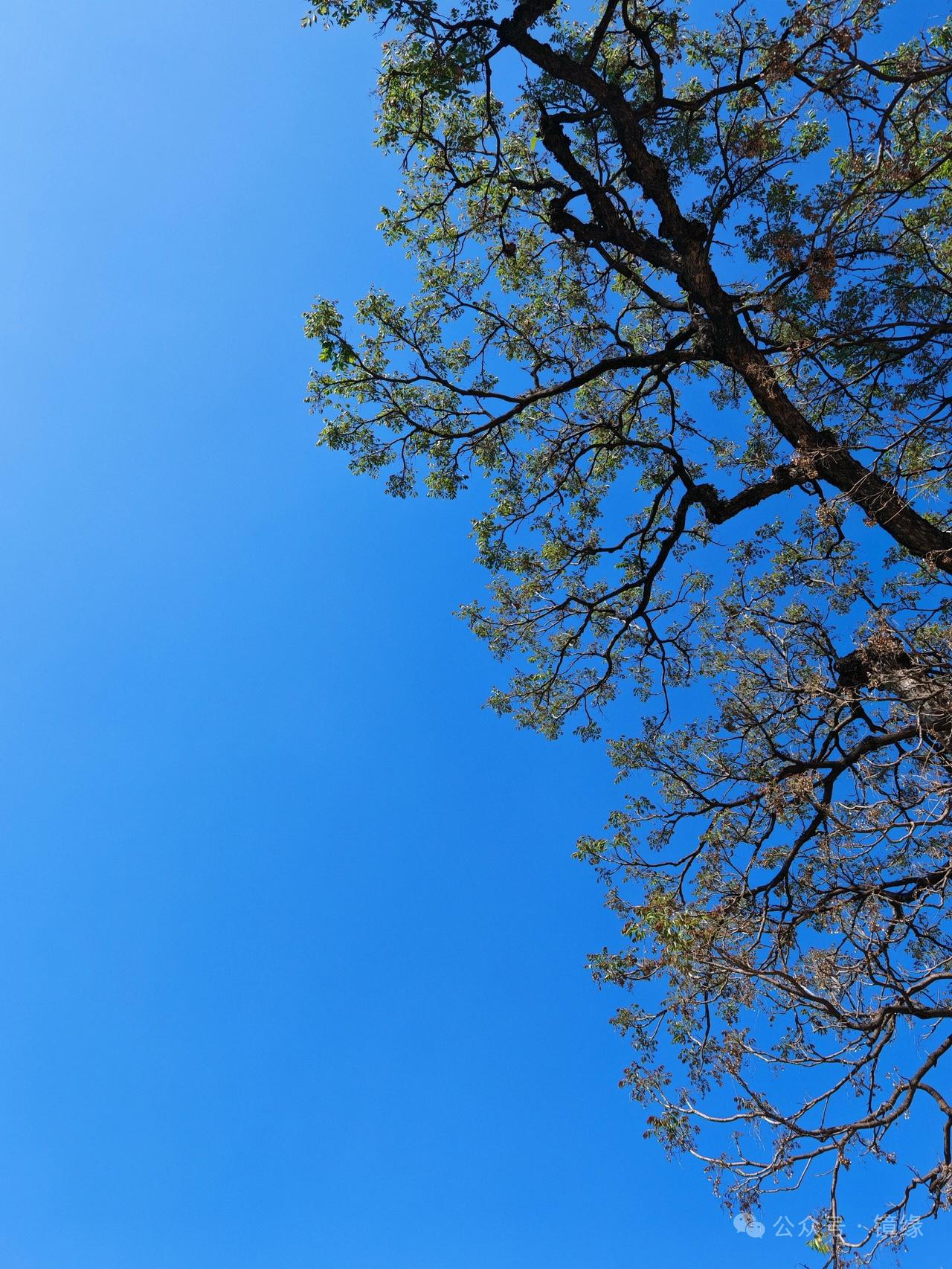 再好的朋友也难免有磕磕绊绊，那些眼里容不下一点摩擦，容不下一点分歧，最后只会把身