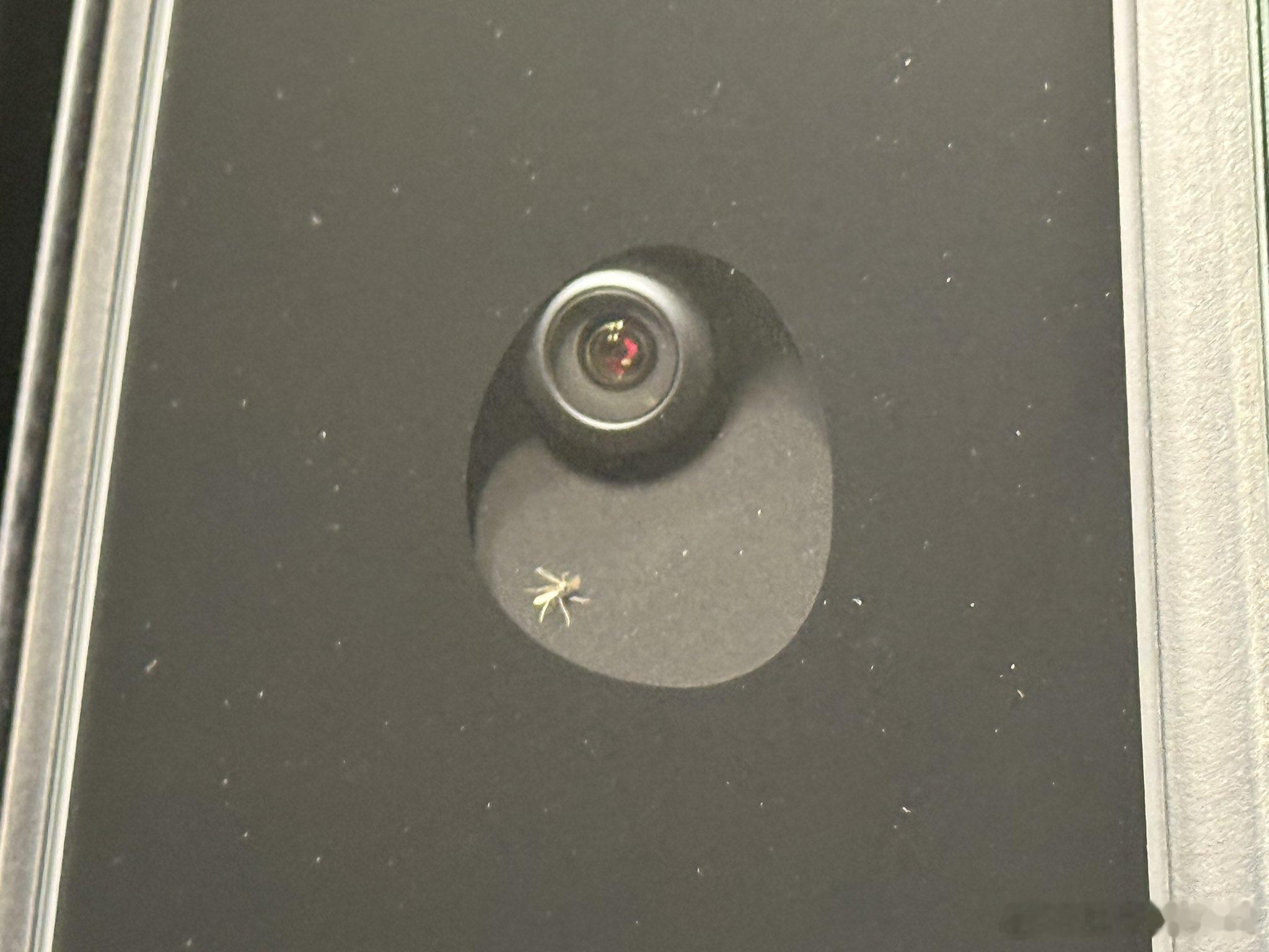 哈哈哈哈，想知道除了拆，还能怎么弄出来特斯拉 ​​​