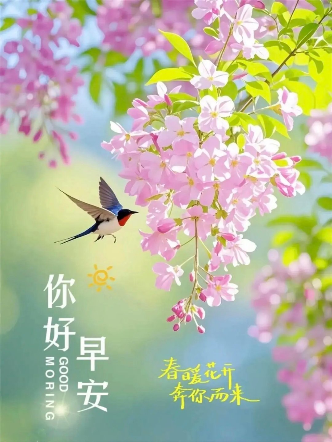 💕𝗛𝗮𝘃𝗲 𝗮 𝗻𝗶𝗰𝗲 𝗗𝗮𝘆 心若花开，处处皆风景