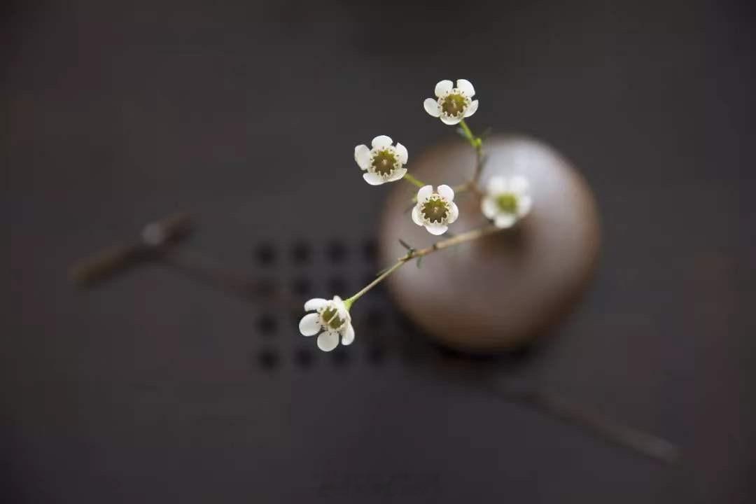 不要对我说永远，爱情不会永远浪漫；不要对我说完美，完美婚姻世间罕见。现实生活平凡