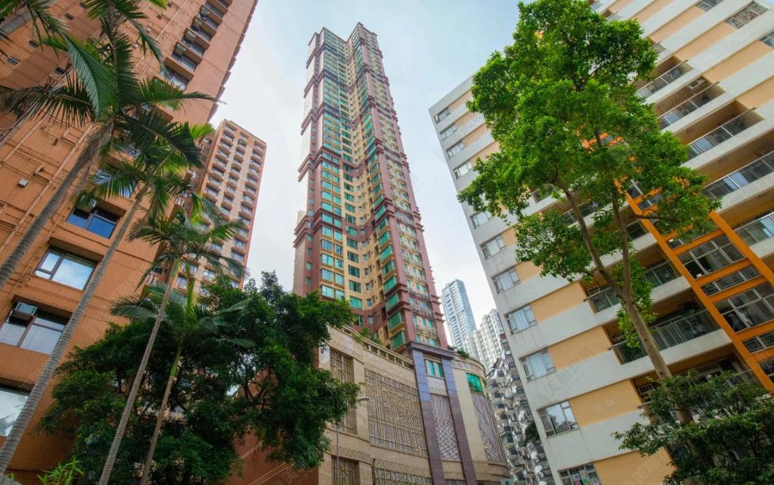 杜建英母子4人在海外购置了亿万豪宅的同时，她对教育很感兴趣，捐赠了大量教育资金。