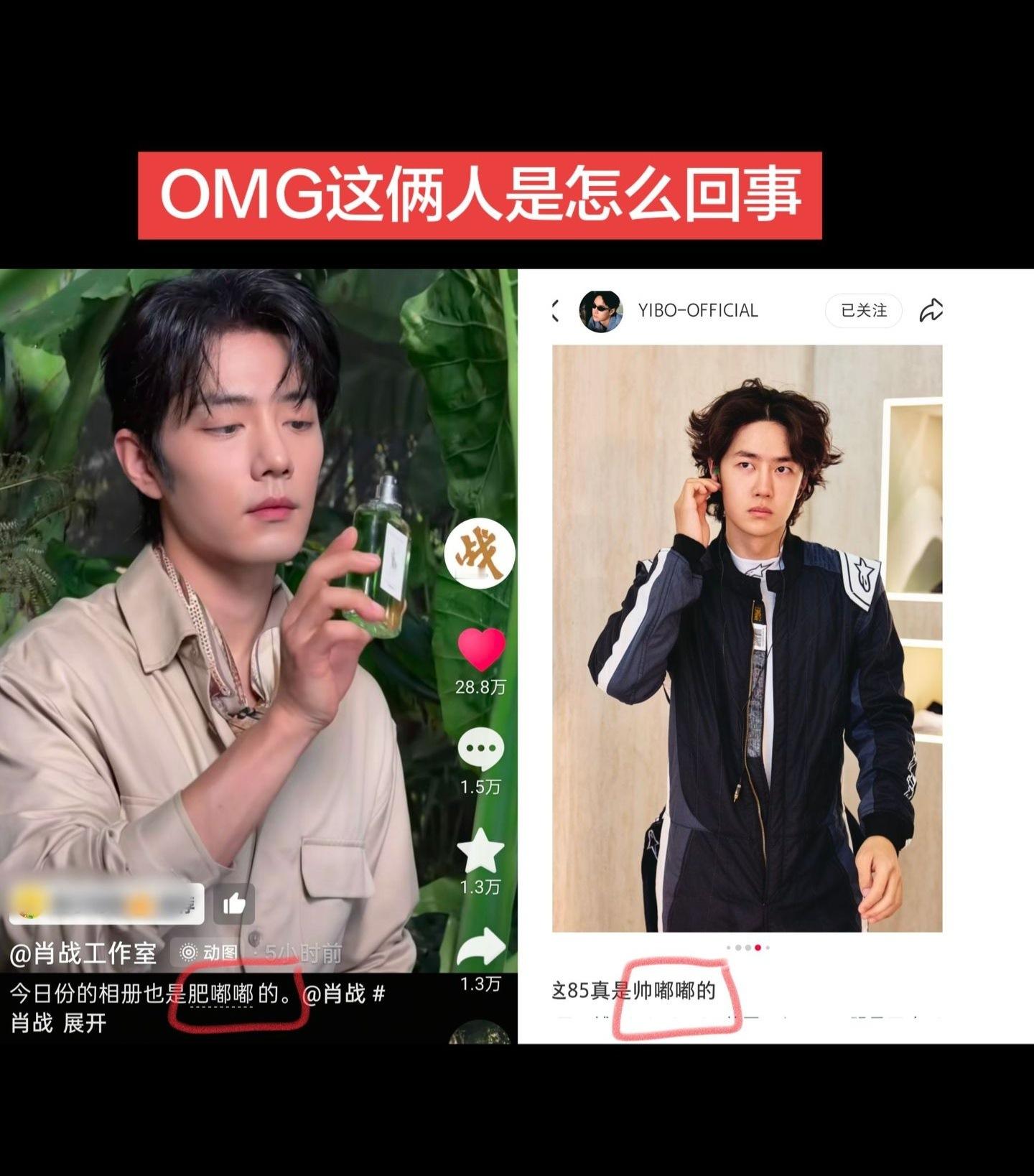 我看你俩胆子真是肥嘟嘟的[doge] ​​​