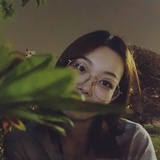 呆豆吹娱乐
