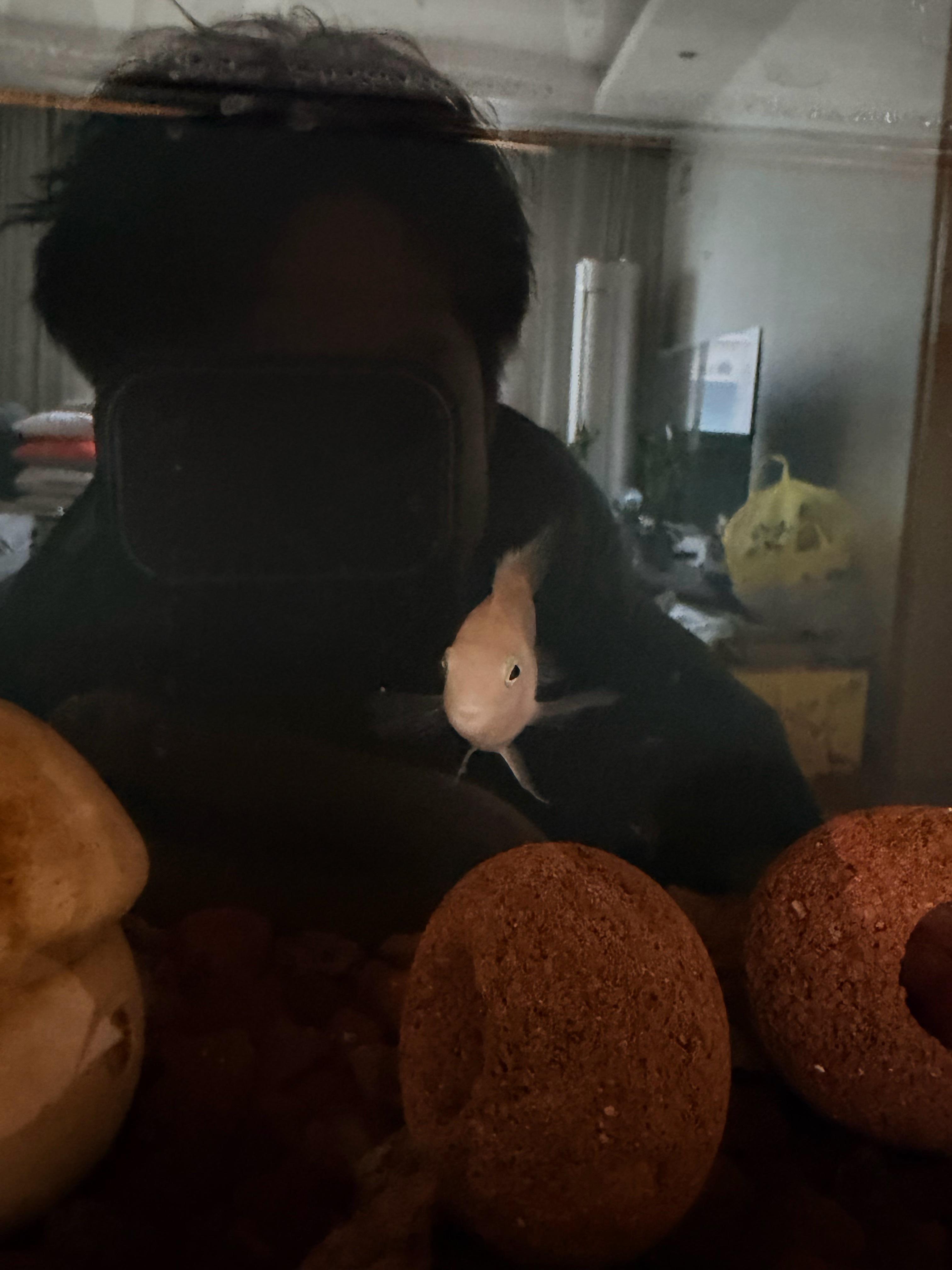 好消息，昨晚的鱼反应过来咯😌 