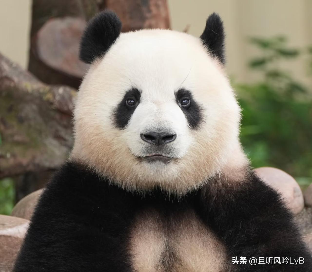 莽小五同学能不能告诉我：手机的退出键在哪里？你已经硬控了我几个小时了，请讲点武德