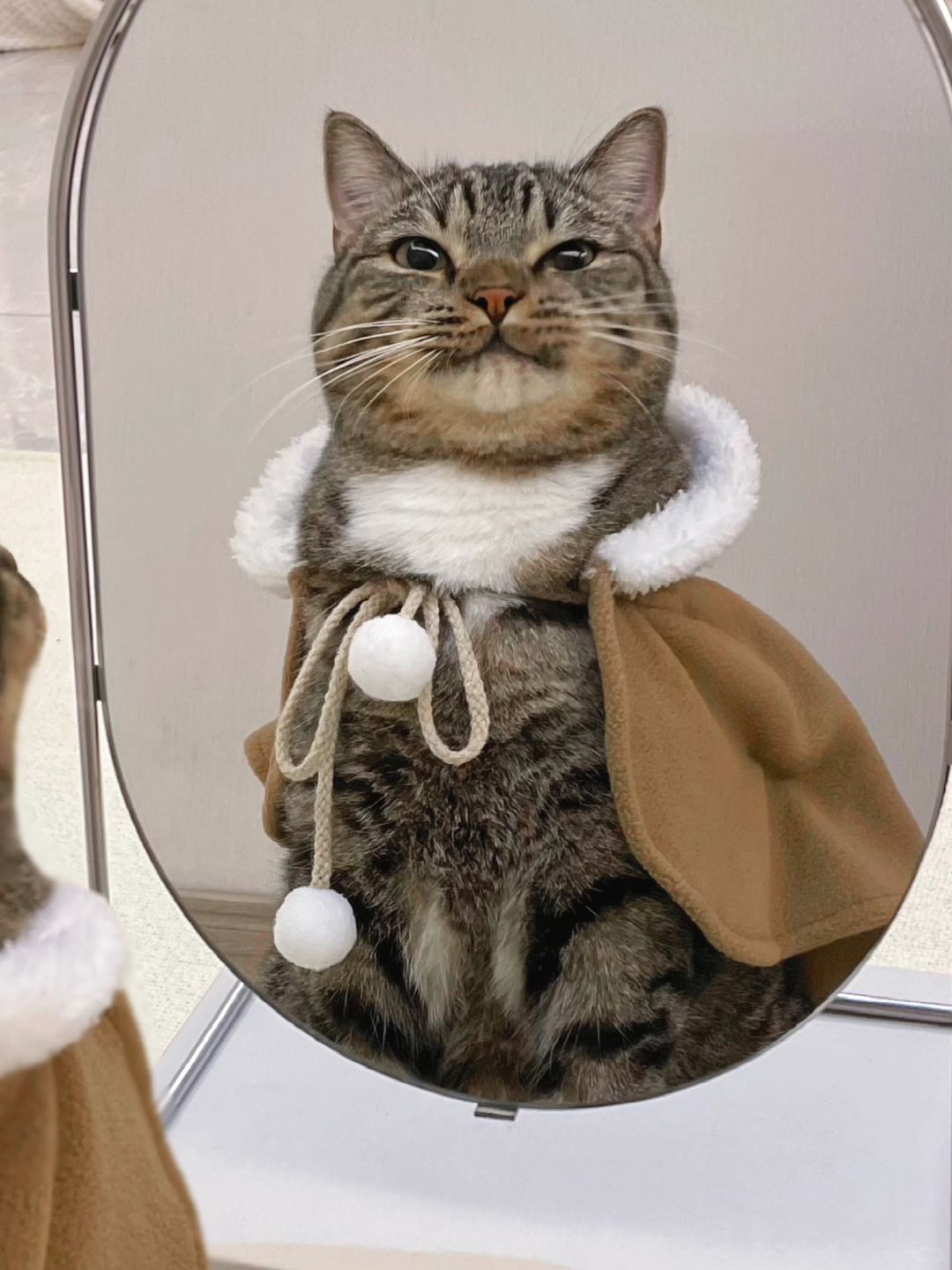 已装备完毕！猫猫决定去闯荡江湖啦～