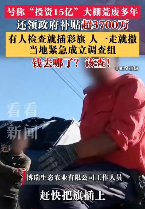 “胆子不是一般的大！”吉林松原，一处占地9000亩的蔬菜大棚总投资15.5亿元，