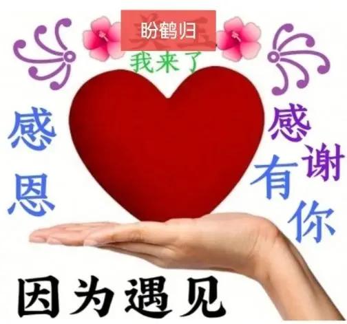 生活里，总有一些美好时光值得铭记，它们如同夜空中闪烁的繁星。那些与朋友欢聚的日子