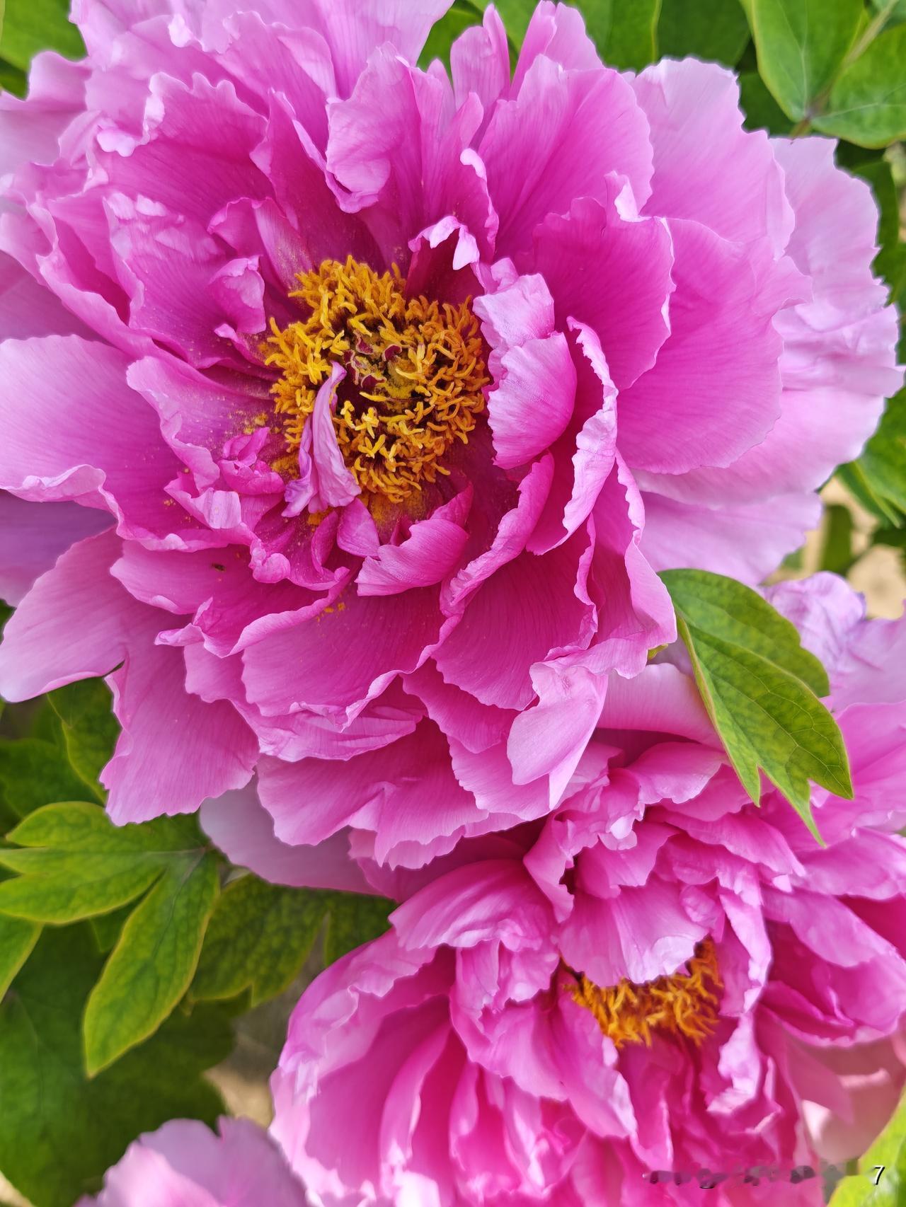 只有一句话，美，震撼的美，太美了，词穷的无法形容！