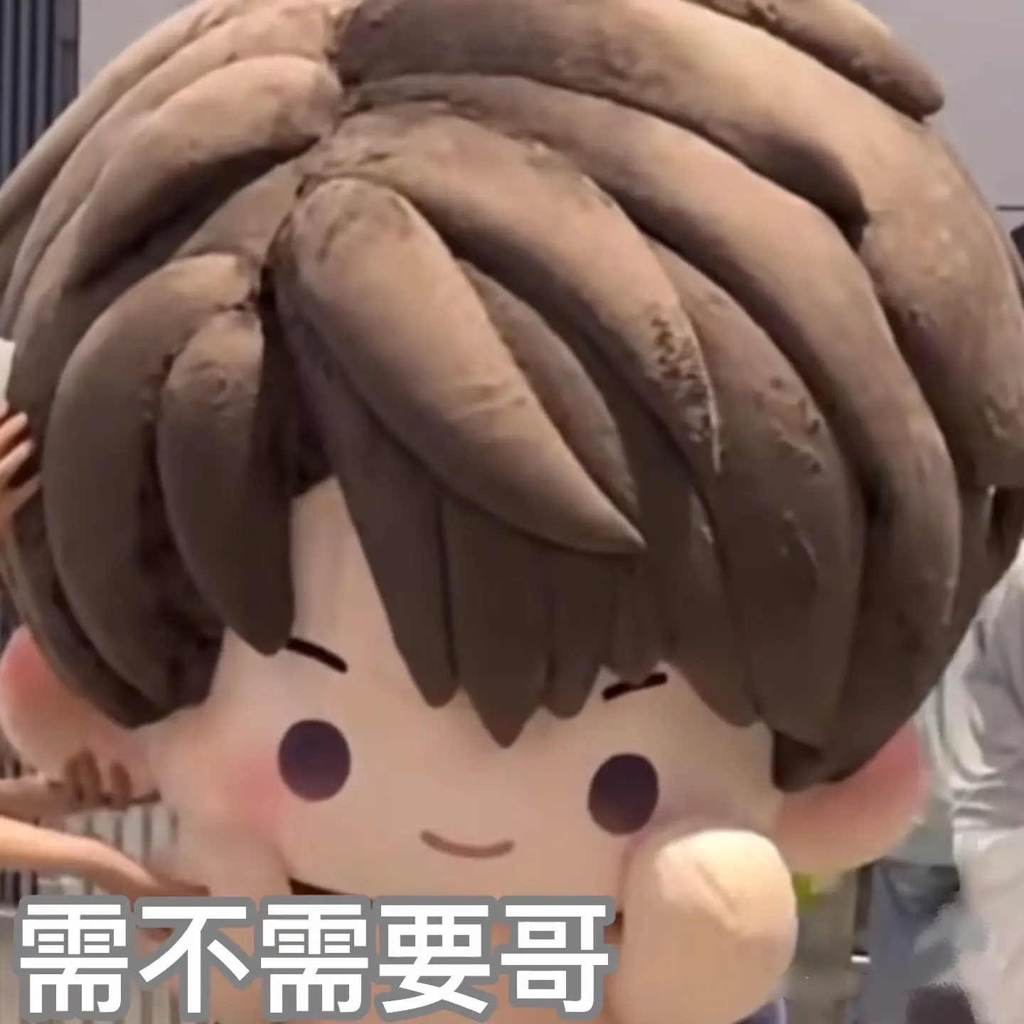 需不需要？回答我！
