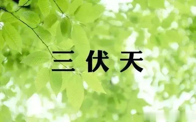 三伏天，以热逼寒，记住四招，补阳气去阴寒，祛病助长高

1、晒背
可以借助太阳的