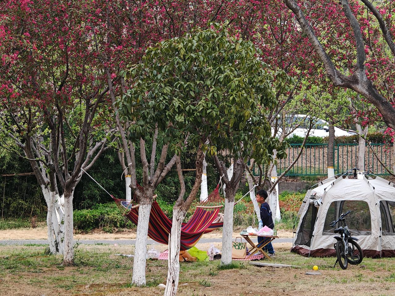 小区业委会真能代表业主意志吗？从法律层面，《民法典》规定业主委员会依法成立，能代