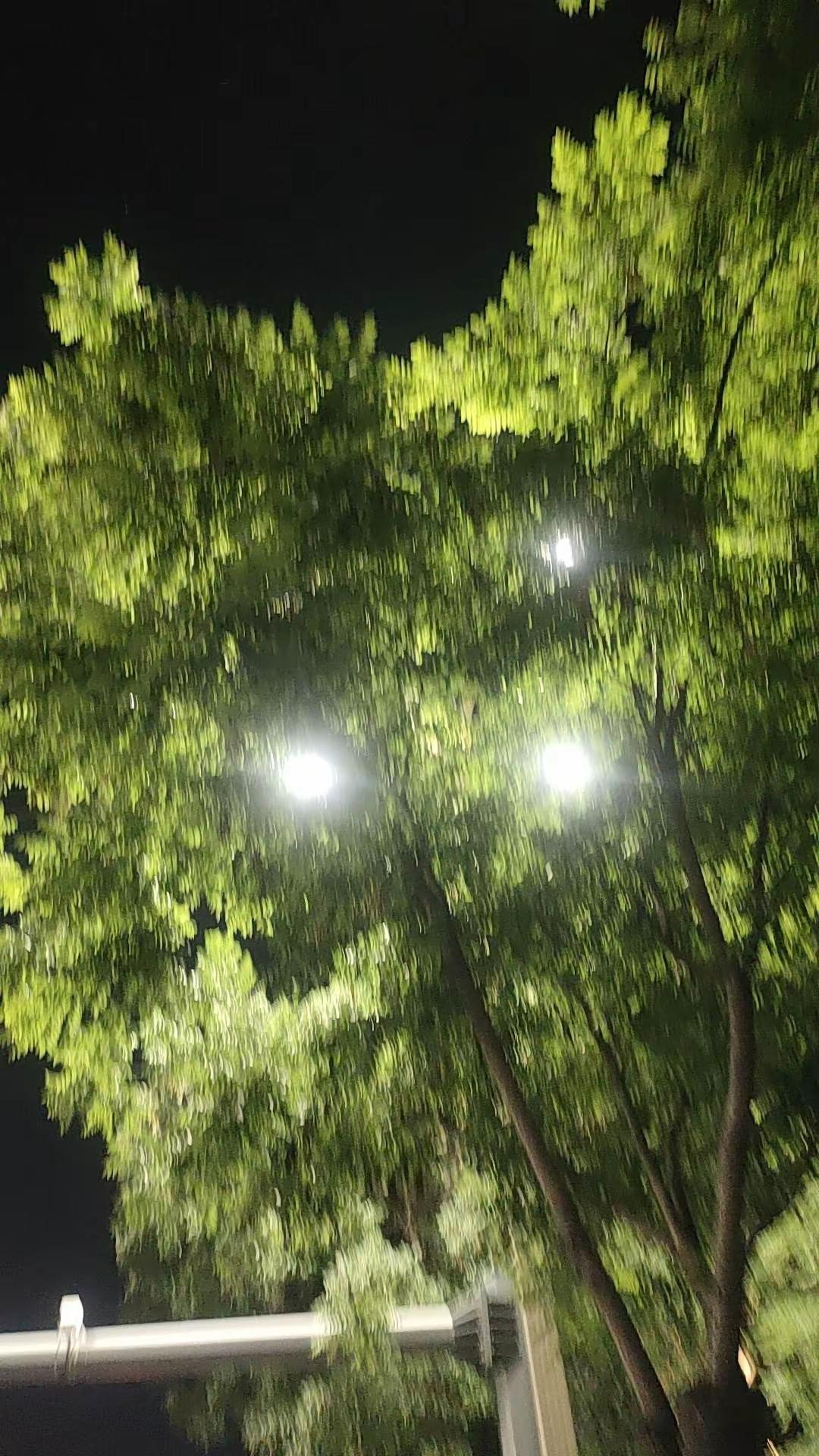“人生有两次幸运就好，一次遇到你，          一次走到底。感恩遇见，感恩