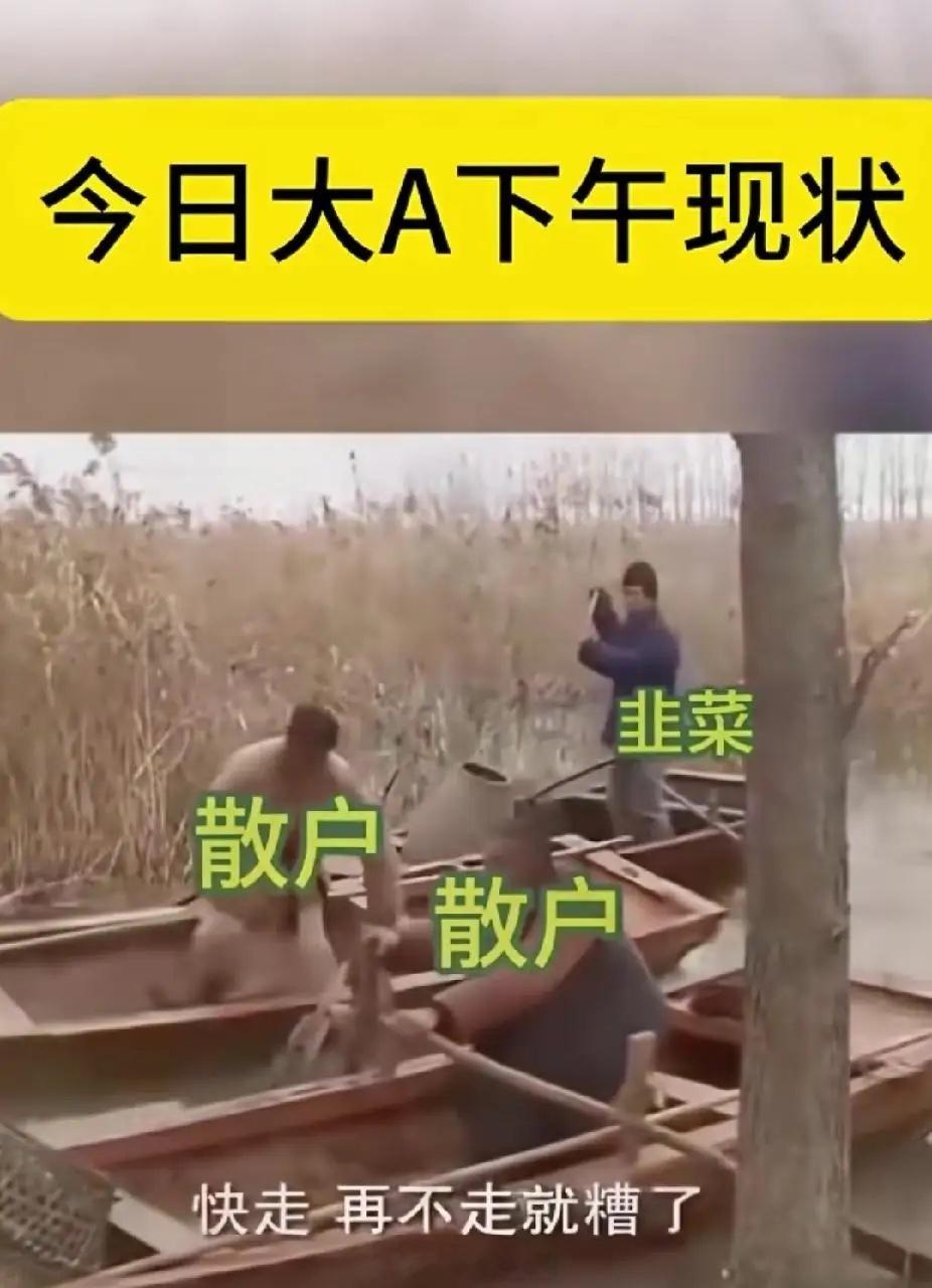 大A股里面，这些机构都非常有耐心的，很多机构公募提前一年甚至两三年布局，低位买入