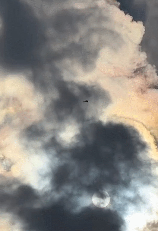 哇塞！
中国人民解放路空军又飞起来了？
也不知道是哪一款？[捂脸]网友说:像极了