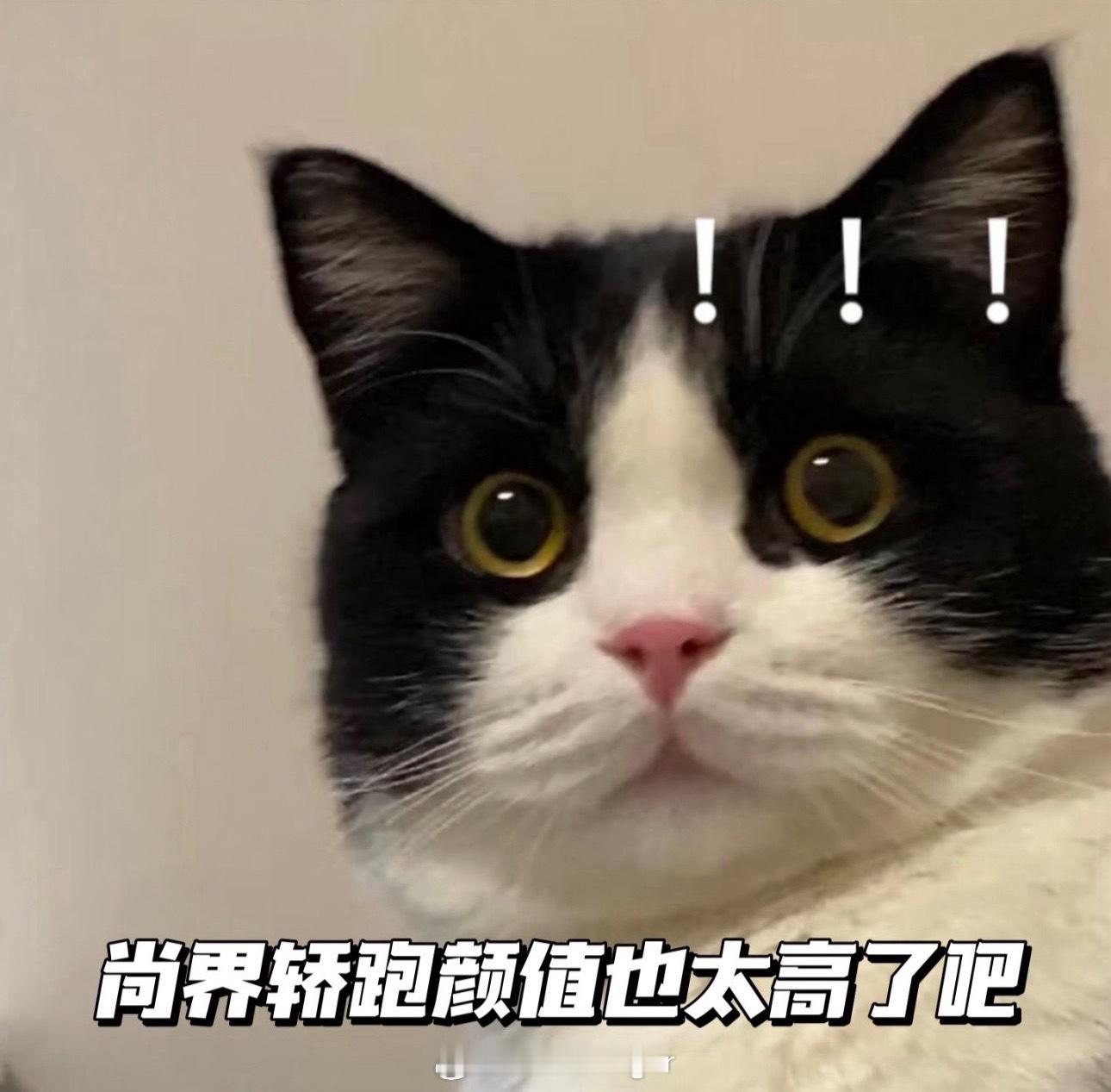 余承东与小撒赞叹尚界轿跑颜值 看了鸿蒙智行央视直播，感觉新轿跑的出圈已经是板上钉