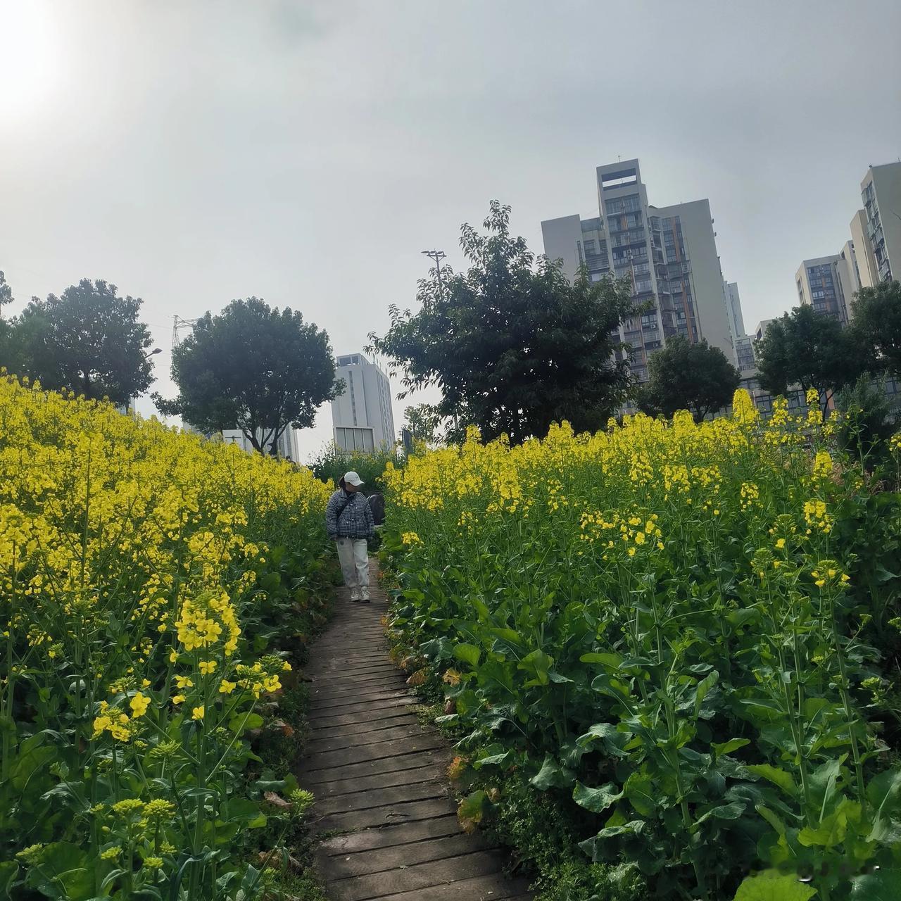 其实，很多事情只要想通透了，就没有什么可怕的，对吗？

对于现在的我，基本上已经